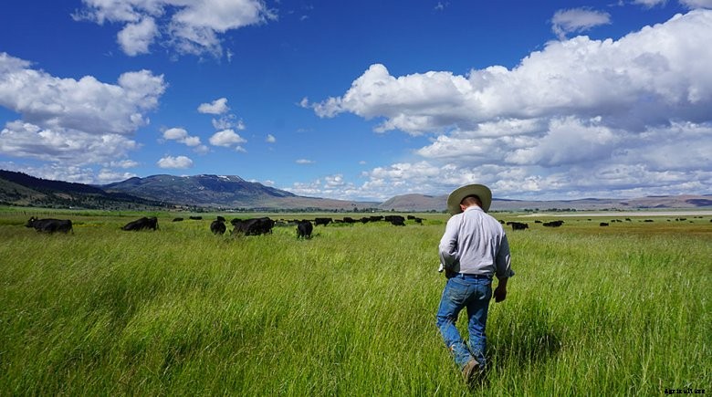 spencer-smith Meet Allan Savory, the Pioneer of Regenerative Agriculture